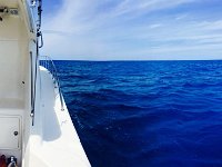 Me in the Bermuda Blue